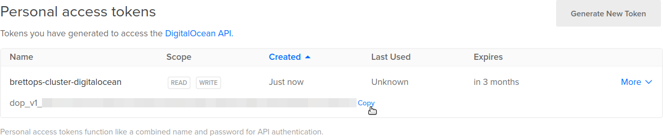 Copy the API token.
