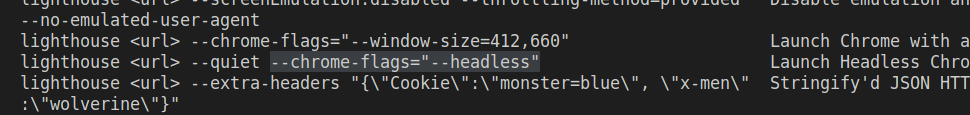 Discovering the --chrome-flags option using lighthouse --help.